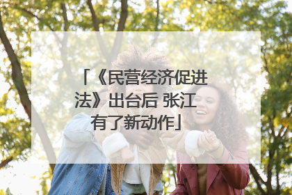 《民营经济促进法》出台后 张江有了新动作