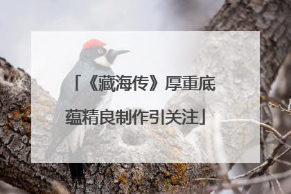 《藏海传》厚重底蕴精良制作引关注