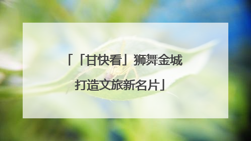 「甘快看」狮舞金城 打造文旅新名片