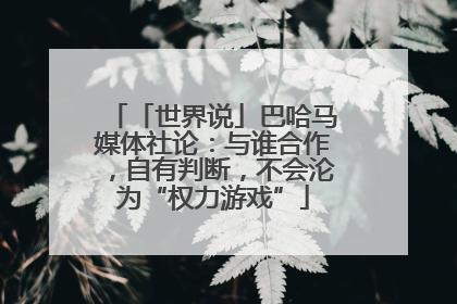 「世界说」巴哈马媒体社论：与谁合作，自有判断，不会沦为“权力游戏”