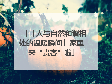 「人与自然和谐相处的温暖瞬间」家里来“贵客”啦