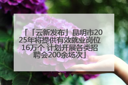 「云新发布」昆明市2025年将提供有效就业岗位16万个 计划开展各类招聘会200余场次