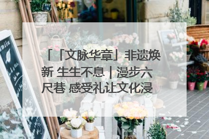 「文脉华章」非遗焕新 生生不息｜漫步六尺巷 感受礼让文化浸润的“巷”往生活