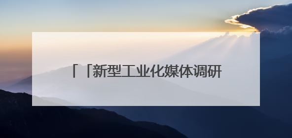 「新型工业化媒体调研行」从“北斗七星”到“热带雨林”：上海AI生态的技术商业共生密码