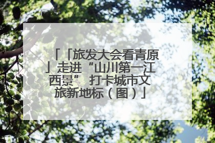 「旅发大会看青原」走进“山川第一江西景” 打卡城市文旅新地标（图）