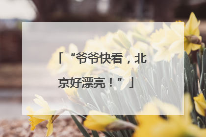 “爷爷快看，北京好漂亮！”