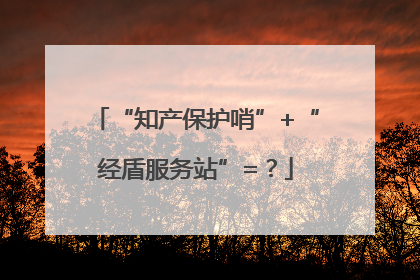 “知产保护哨”+“经盾服务站”=？