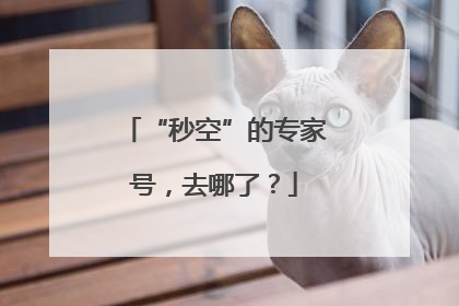 “秒空”的专家号，去哪了？