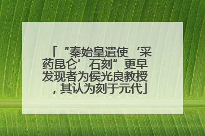 “秦始皇遣使‘采药昆仑’石刻”更早发现者为侯光良教授，其认为刻于元代