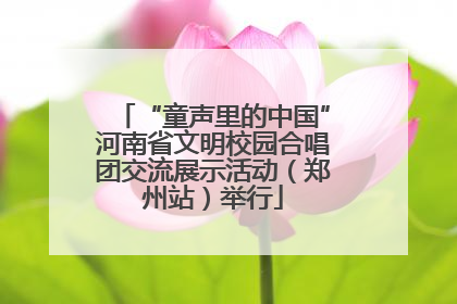 “童声里的中国”河南省文明校园合唱团交流展示活动（郑州站）举行