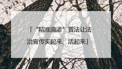 “精准滴灌”普法让法治宣传实起来、活起来