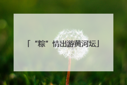 “粽”情出游黄河坛