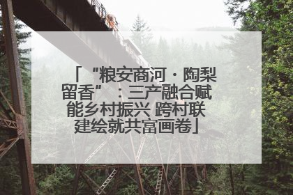 “粮安商河・陶梨留香”：三产融合赋能乡村振兴 跨村联建绘就共富画卷