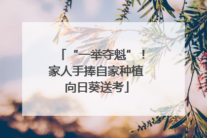 “一举夺魁”！家人手捧自家种植向日葵送考