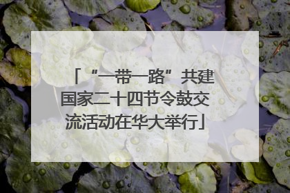 “一带一路”共建国家二十四节令鼓交流活动在华大举行