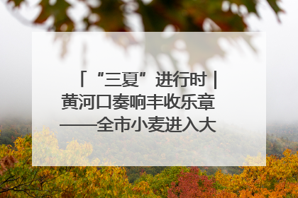 “三夏”进行时｜黄河口奏响丰收乐章——全市小麦进入大面积收获高峰期