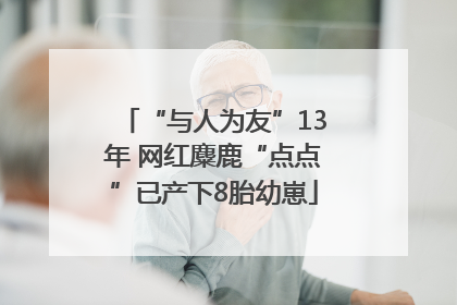 “与人为友”13年 网红麋鹿“点点”已产下8胎幼崽