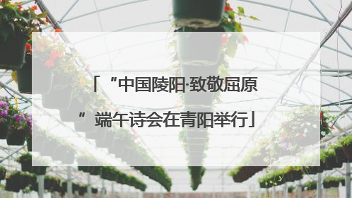 “中国陵阳·致敬屈原”端午诗会在青阳举行