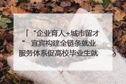 “企业育人+城市留才” 宜宾构建全链条就业服务体系促高校毕业生就业｜您牵挂的四川
