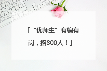 “优师生”有编有岗，招800人！