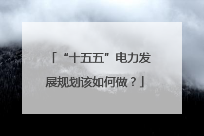 “十五五”电力发展规划该如何做？