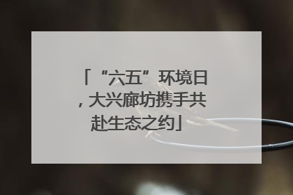 “六五”环境日，大兴廊坊携手共赴生态之约