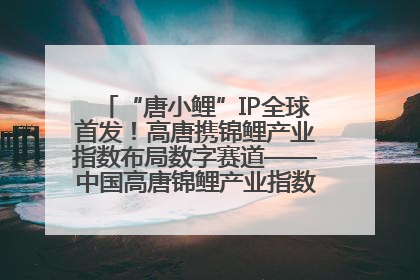 “唐小鲤”IP全球首发！高唐携锦鲤产业指数布局数字赛道——中国高唐锦鲤产业指数暨“唐小鲤”IP全球首发仪式在杭州举行