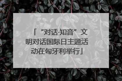 “对话·知音”文明对话国际日主题活动在匈牙利举行
