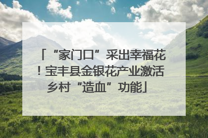 “家门口”采出幸福花！宝丰县金银花产业激活乡村“造血”功能