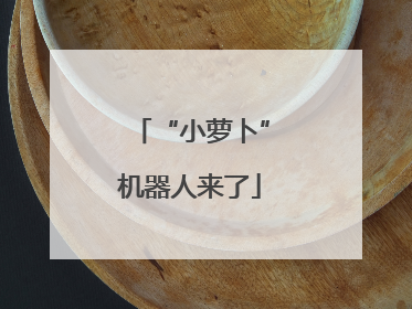 “小萝卜”机器人来了