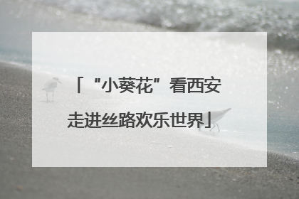 “小葵花”看西安走进丝路欢乐世界