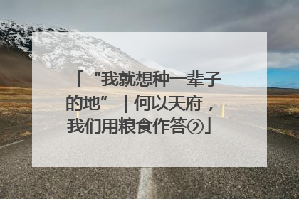 “我就想种一辈子的地”｜何以天府，我们用粮食作答②