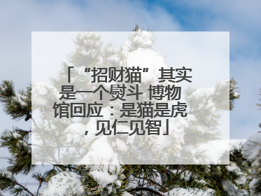 “招财猫”其实是一个熨斗 博物馆回应：是猫是虎，见仁见智