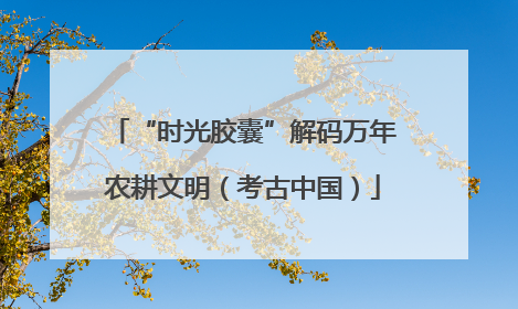 “时光胶囊”解码万年农耕文明（考古中国）