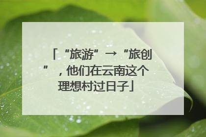 “旅游”→“旅创”，他们在云南这个理想村过日子