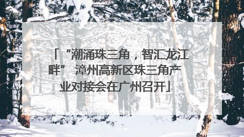 “潮涌珠三角，智汇龙江畔” 漳州高新区珠三角产业对接会在广州召开