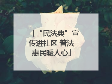 “民法典”宣传进社区 普法惠民暖人心