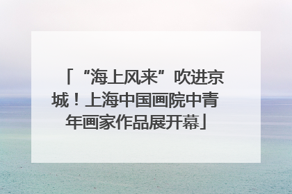 “海上风来”吹进京城！上海中国画院中青年画家作品展开幕
