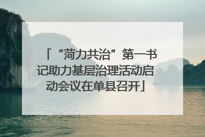 “菏力共治”第一书记助力基层治理活动启动会议在单县召开