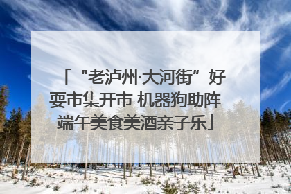 “老泸州·大河街”好耍市集开市 机器狗助阵端午美食美酒亲子乐