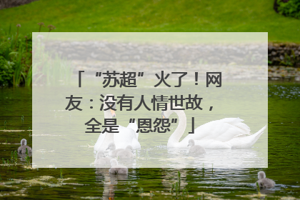 “苏超”火了！网友：没有人情世故，全是“恩怨”