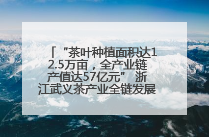 “茶叶种植面积达12.5万亩，全产业链产值达57亿元” 浙江武义茶产业全链发展“加速度”