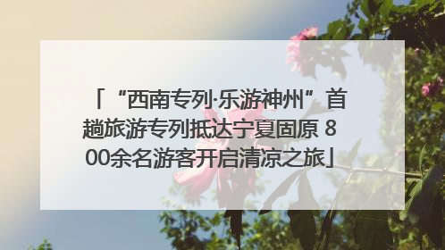“西南专列·乐游神州”首趟旅游专列抵达宁夏固原 800余名游客开启清凉之旅