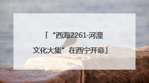 “西海2261·河湟文化大集”在西宁开幕