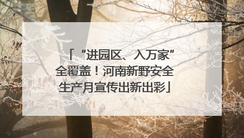 “进园区、入万家”全覆盖！河南新野安全生产月宣传出新出彩