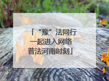“豫”法同行 一起进入网络普法河南时刻