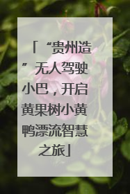 “贵州造”无人驾驶小巴，开启黄果树小黄鸭漂流智慧之旅