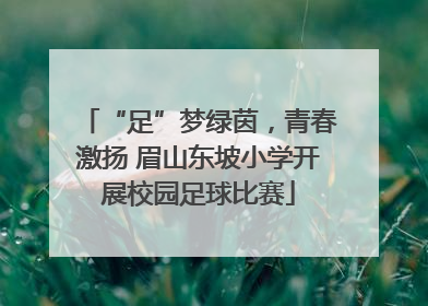 “足”梦绿茵，青春激扬 眉山东坡小学开展校园足球比赛