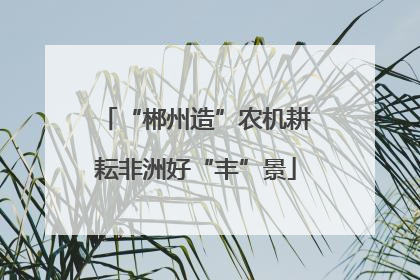 “郴州造”农机耕耘非洲好“丰”景