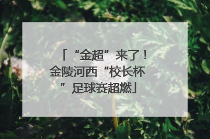 “金超”来了！金陵河西“校长杯”足球赛超燃